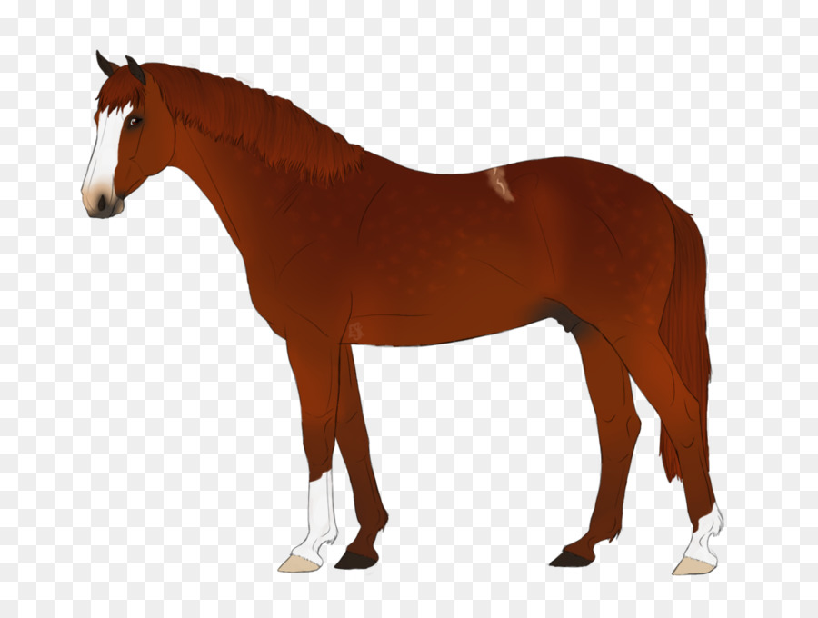 лошадь，модель лошадь PNG