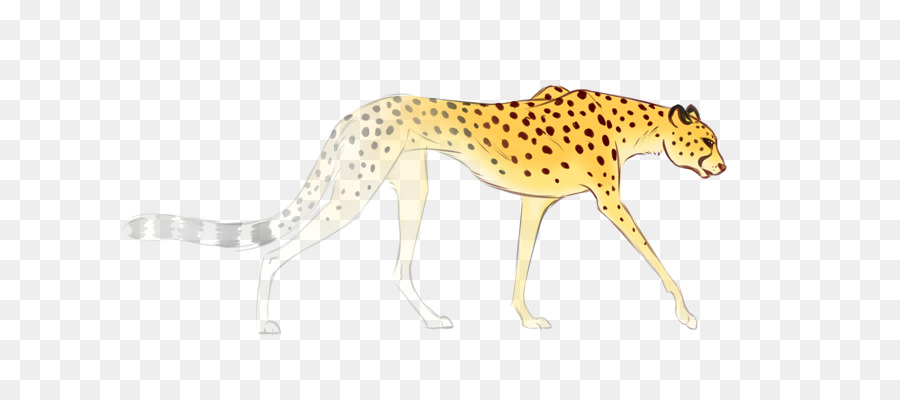 гепард，кошка PNG