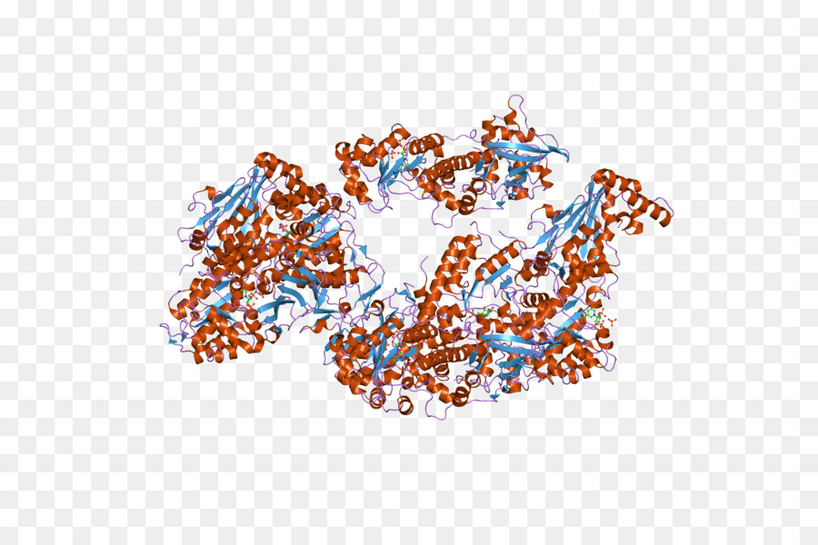 Структура белка，Молекула PNG