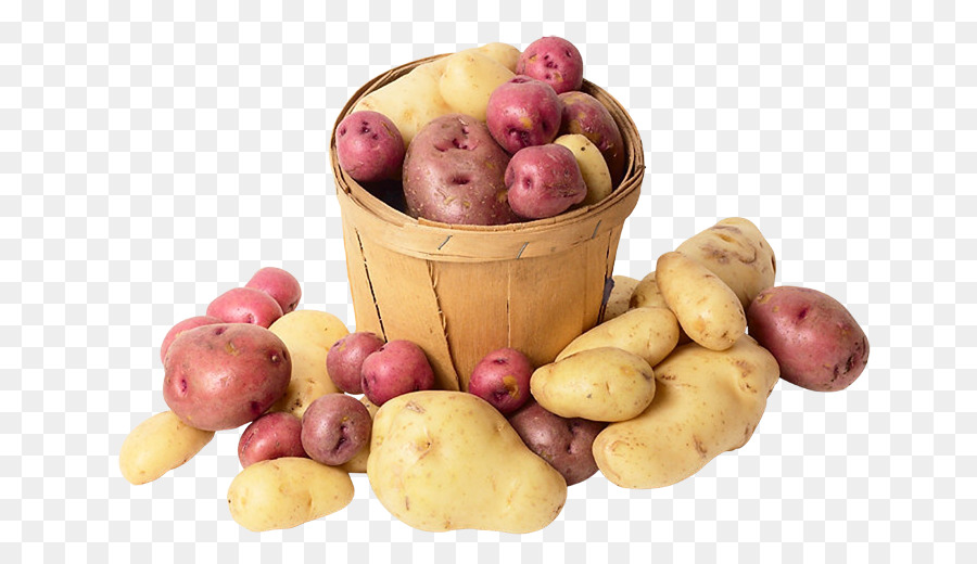фингерлинг картофель，Юкон золотой картофель PNG