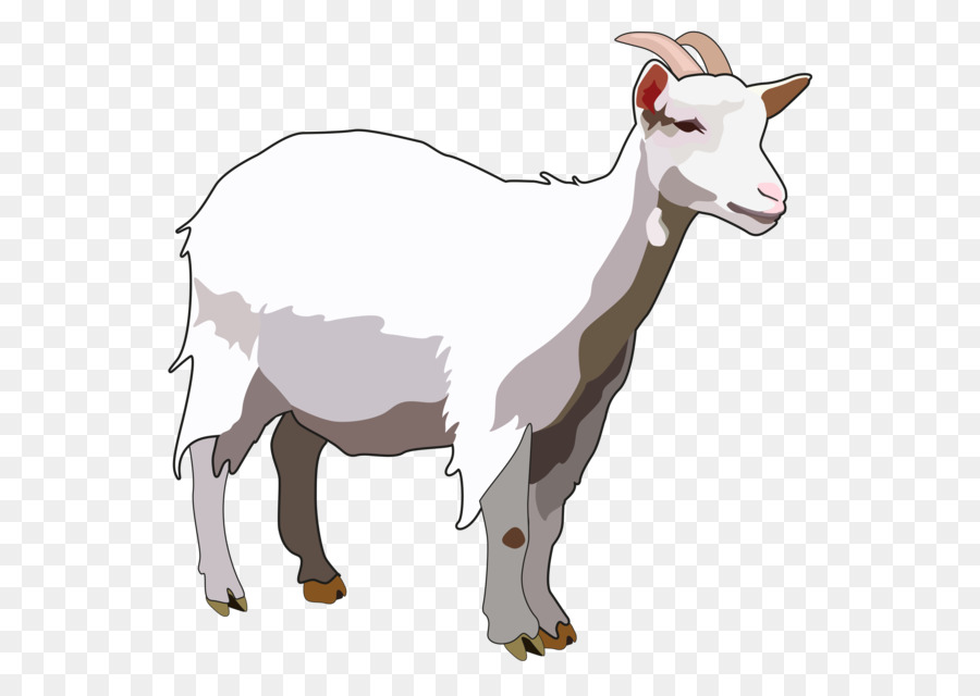 овцы，Ahuntz PNG