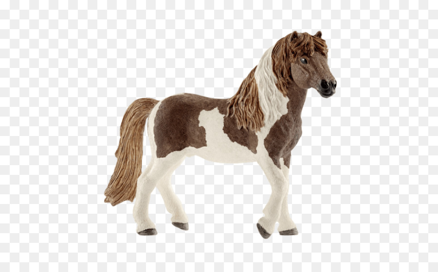исландская лошадь，хафлингер PNG