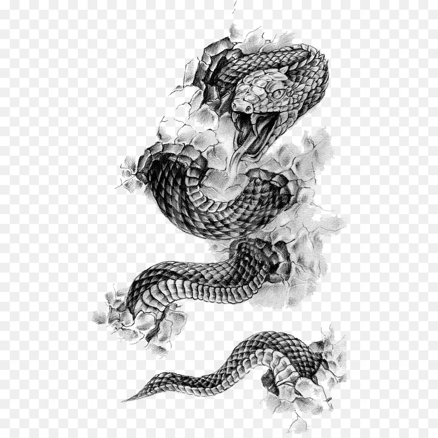 Snake，татуировки PNG