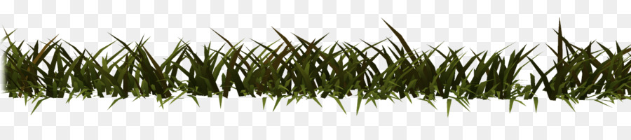 Grasses，линия PNG