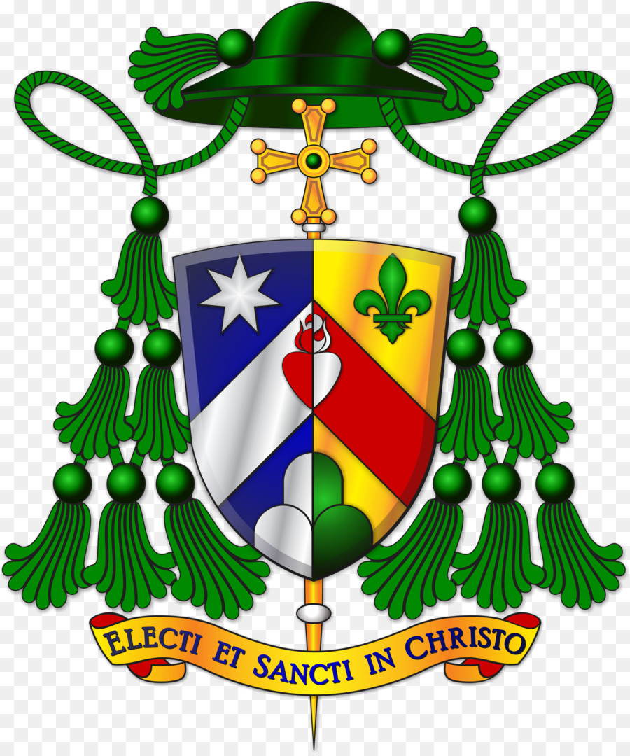 Римско католической архиепархии Сан Паулу，епископ PNG