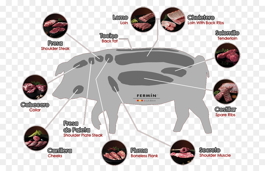 Схема разделки свиньи，мясо PNG