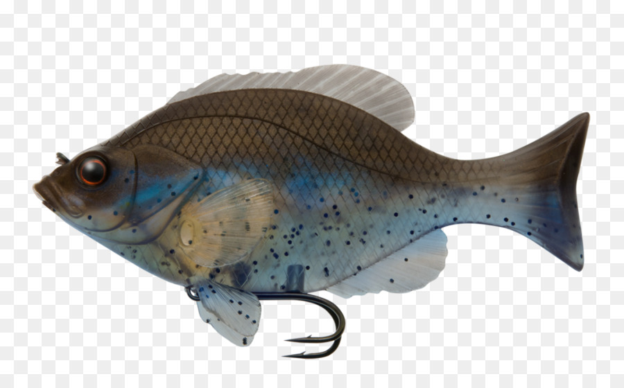 окунь，рыбы PNG