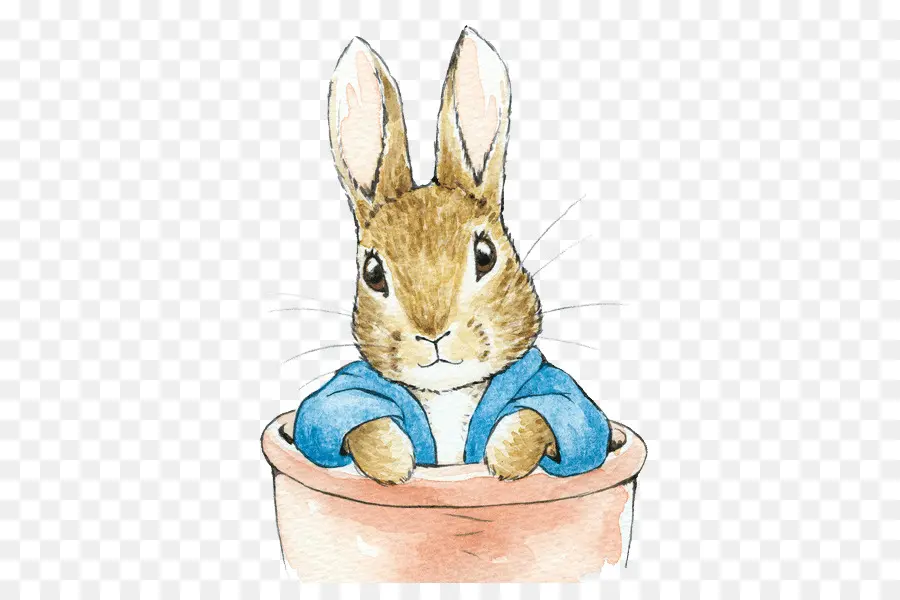 домашний кролик，Питер кролик PNG