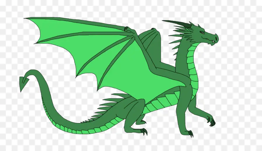 дракон，животное PNG