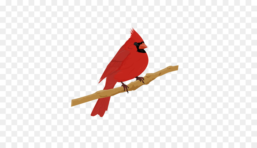 кардинал，птица PNG