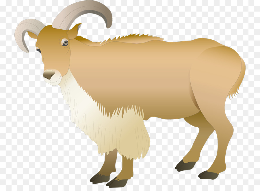 овца，Ахунц PNG