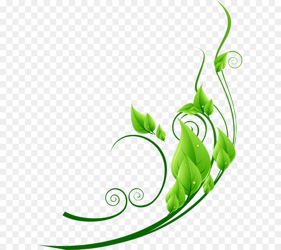 Правый нижний угол листа. Зеленый орнамент. Растительный узор. Зеленые завитки. Зеленые узоры на белом фоне.