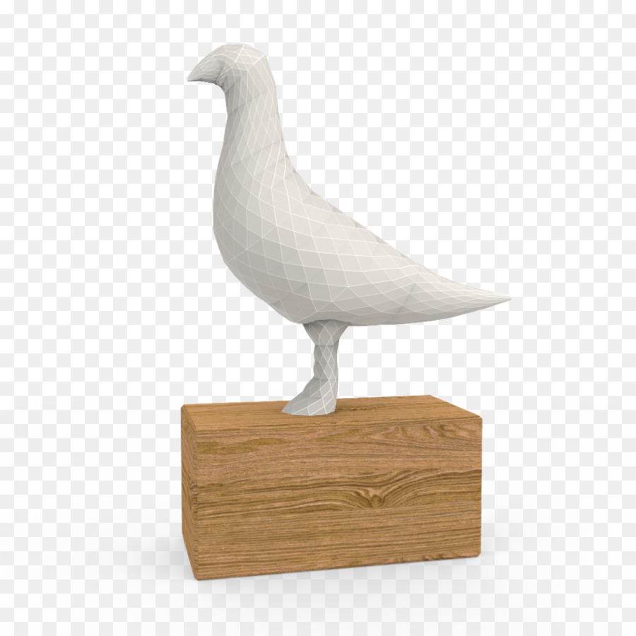 почтовый голубь，Columbidae PNG