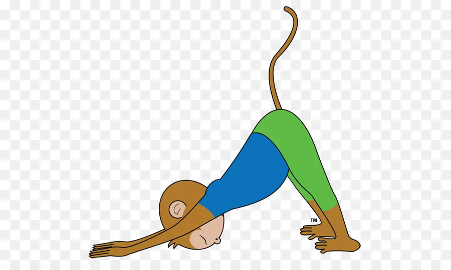 йога обезьяна дети начинающих позы，млекопитающее PNG