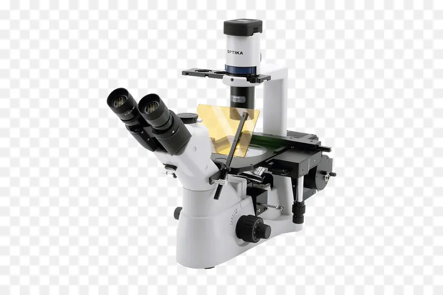 микроскоп，перевернутый микроскоп PNG