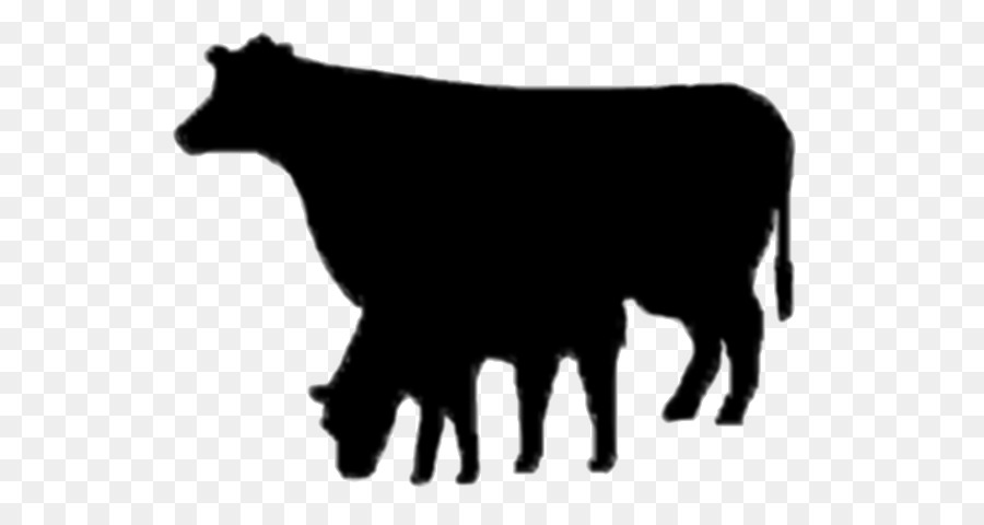 Ангус крупного рогатого скота，молочный скот PNG
