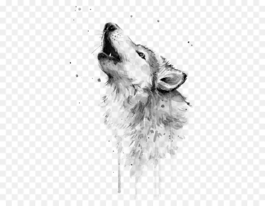 акварельная живопись，серый волк PNG