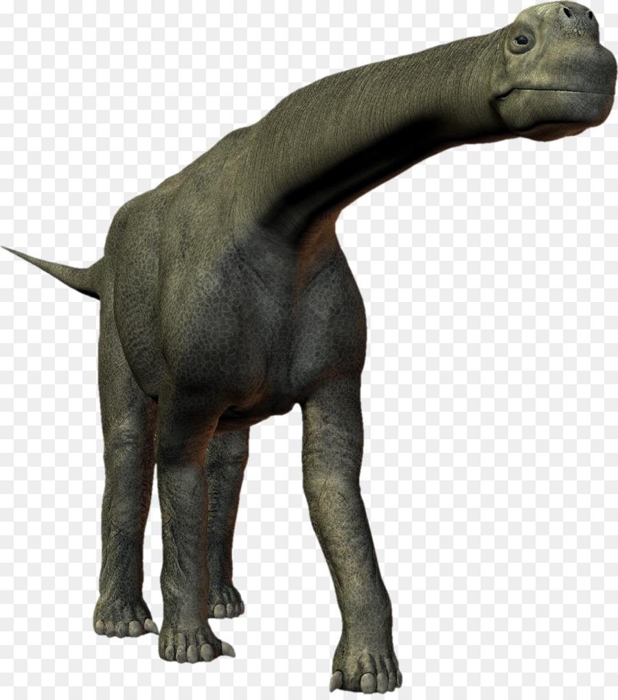 тиранозавр，Камаразавр PNG