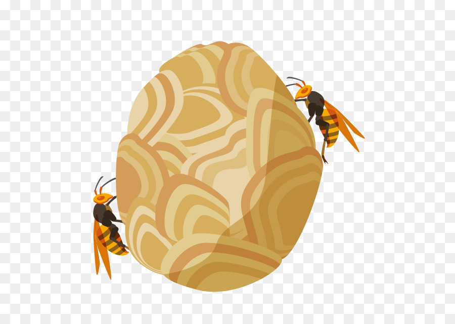 пчела，оса PNG