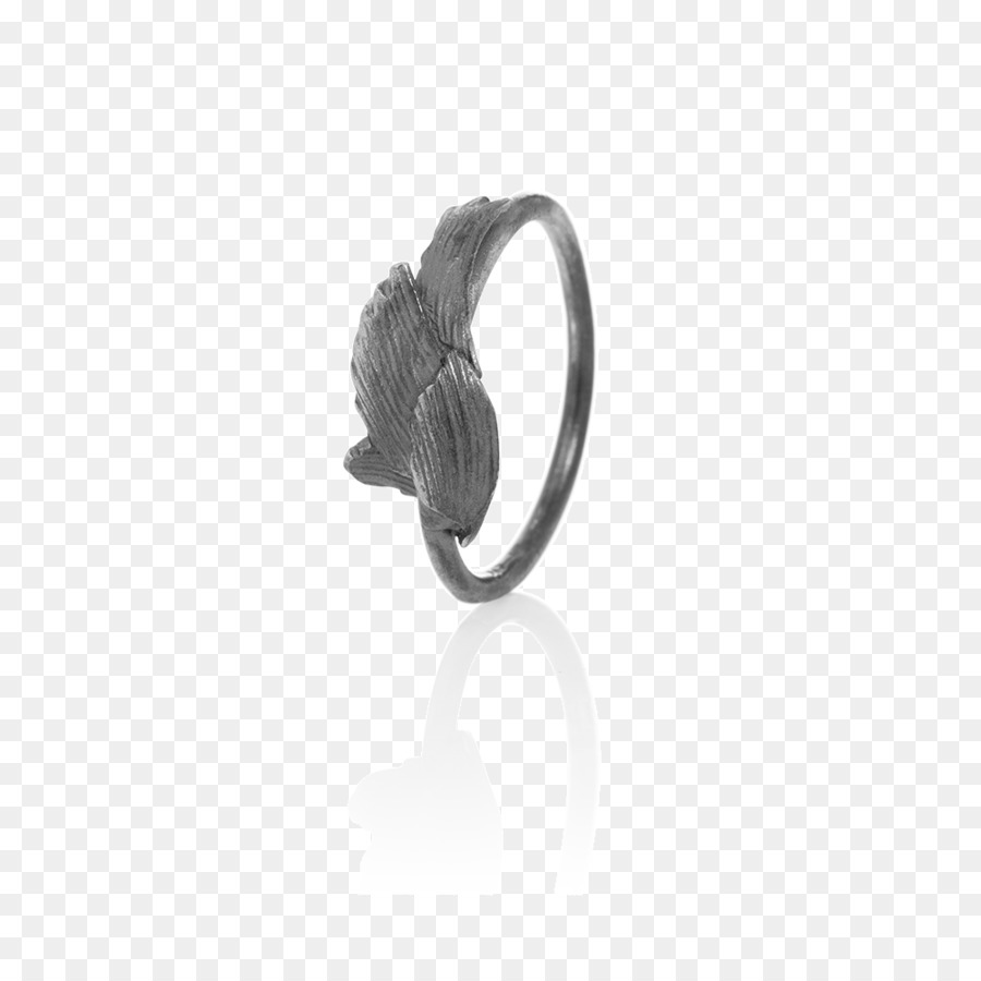 кольцо，серьги PNG