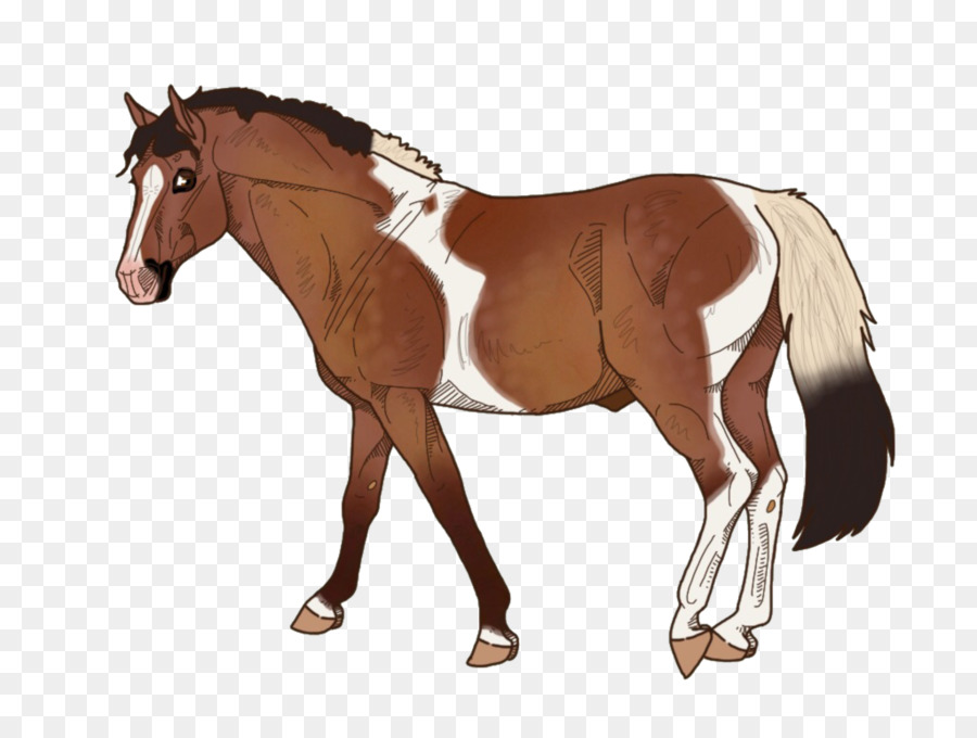 лошадь，Мане PNG