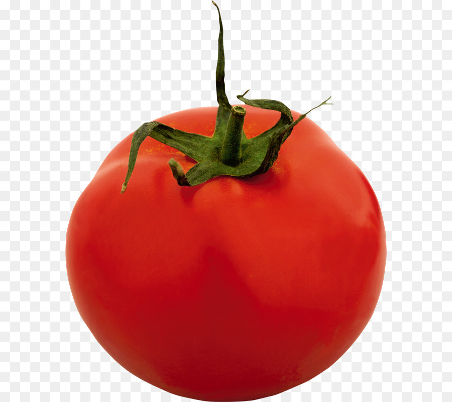сливы помидоры，помидорный куст PNG