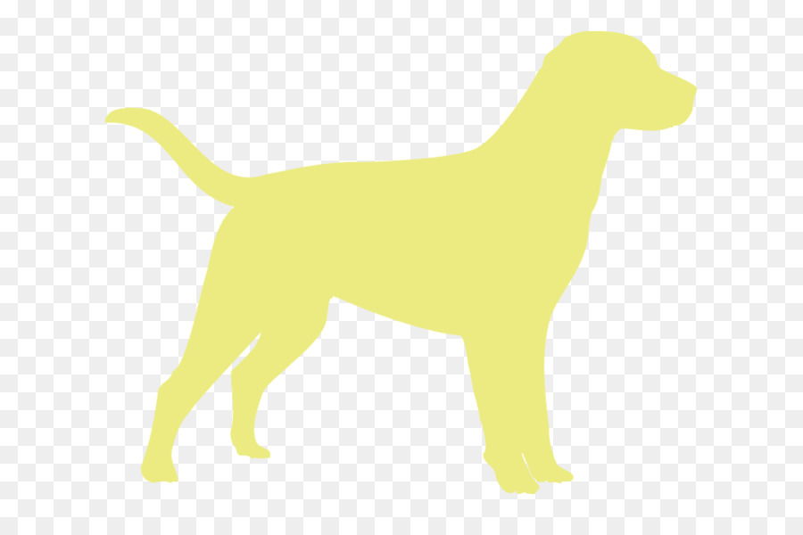 собака породы，щенок PNG