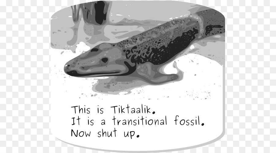 Tiktaalik，переходное ископаемое PNG