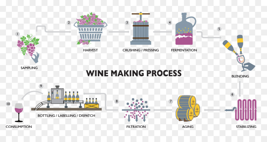 Схема производства вина. Схема технология изготовления вина. Схема производства игристых вин. Процесс производства вина схема.