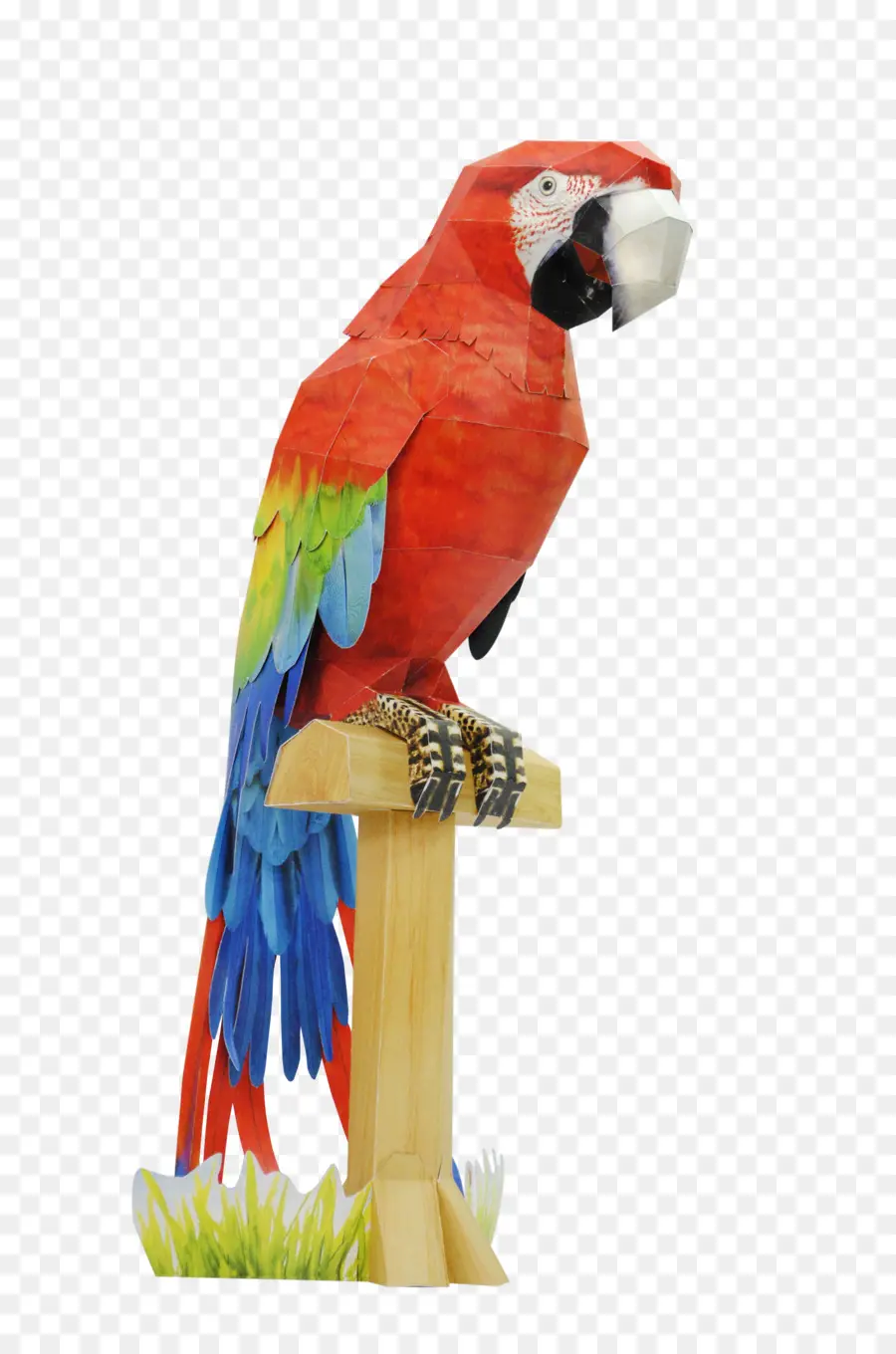 волнистый попугай，ара PNG