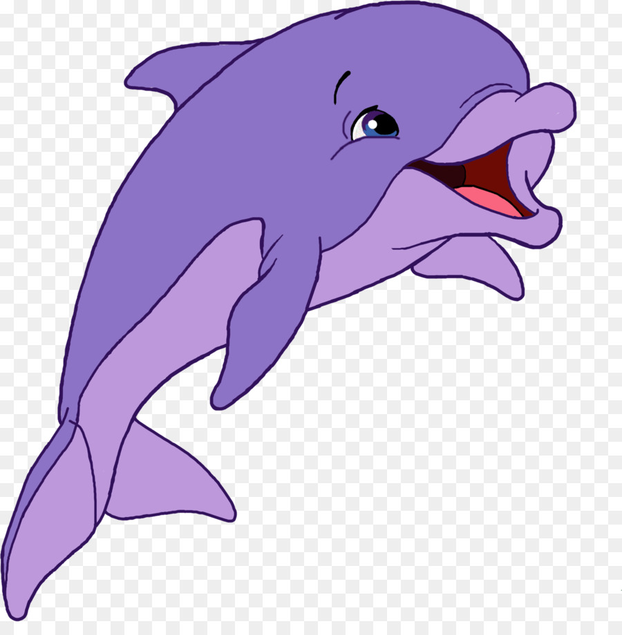 Шорт общий дельфин，Шольфин PNG