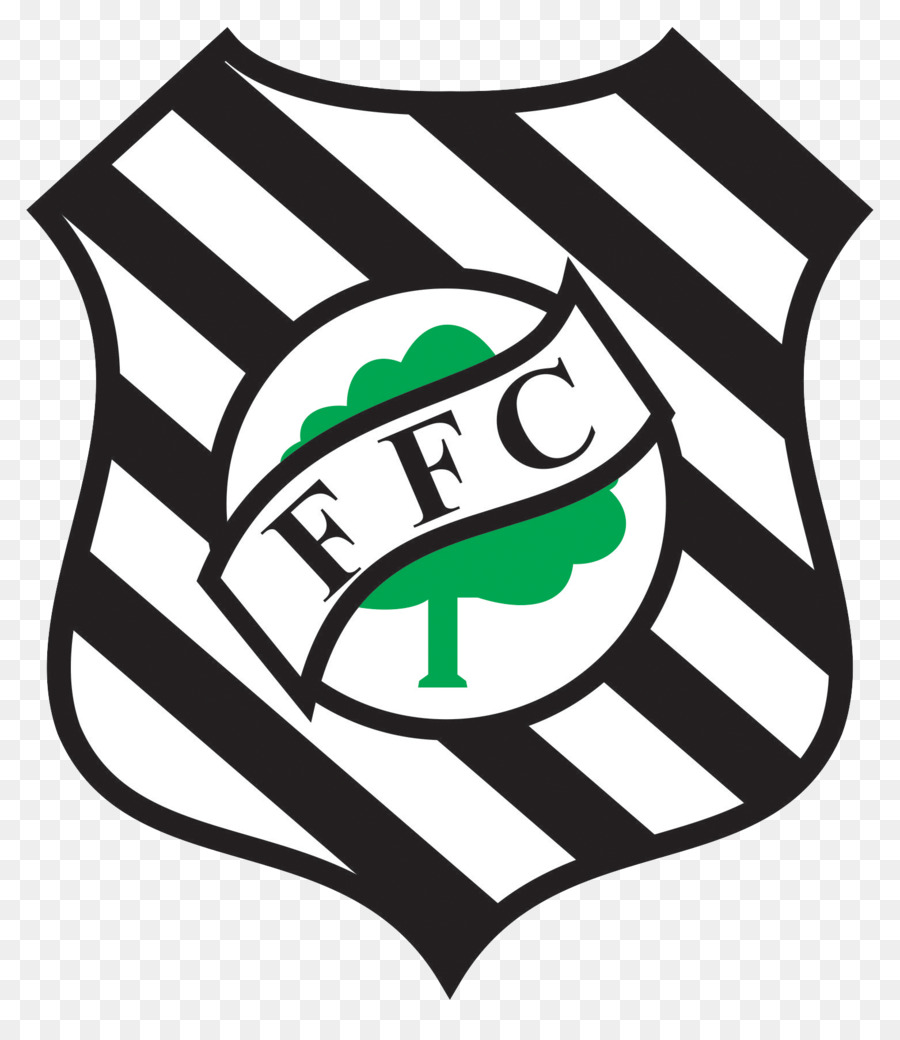 Figueirense Fc，Бразильский чемпионат серия B PNG