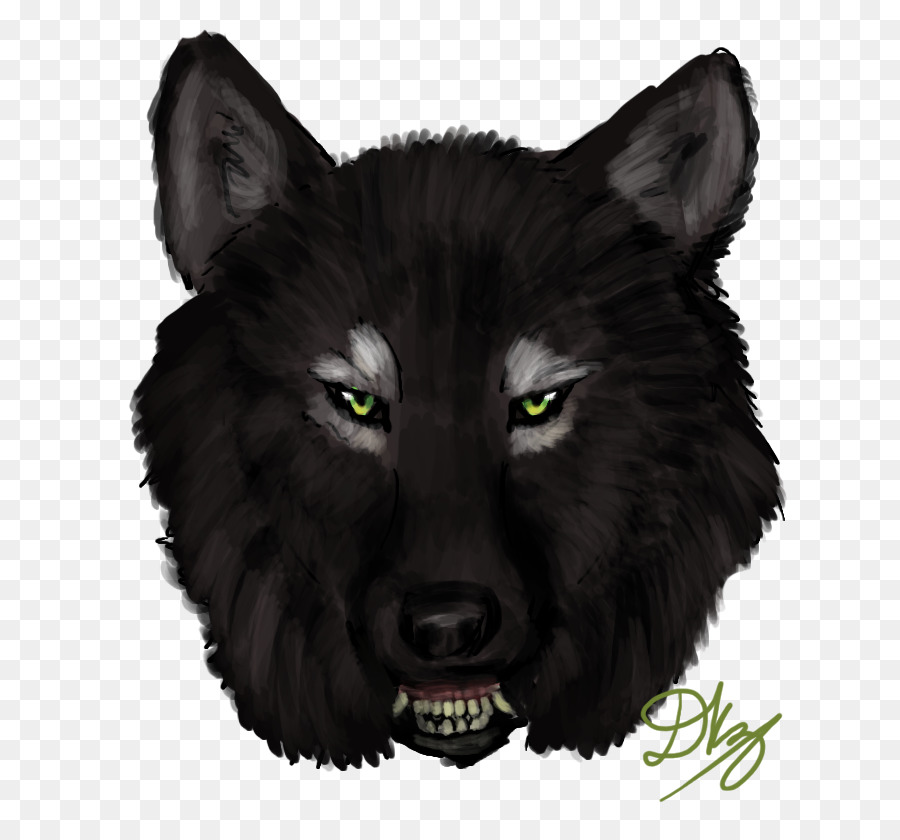 серый волк，усы PNG