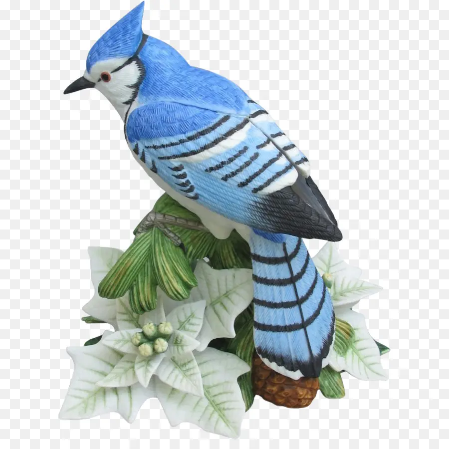 голубая сойка，птица PNG