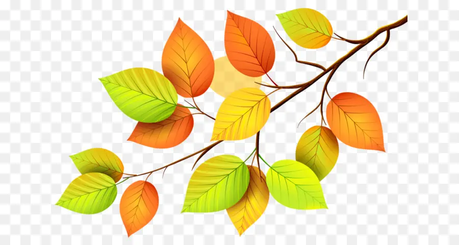 бумага，Осенние листья PNG