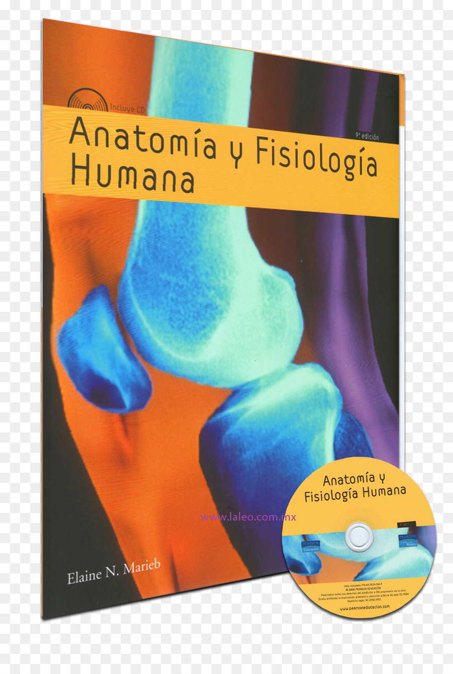 анатомия и физиология человека книгу，анатомии и физиологии PNG