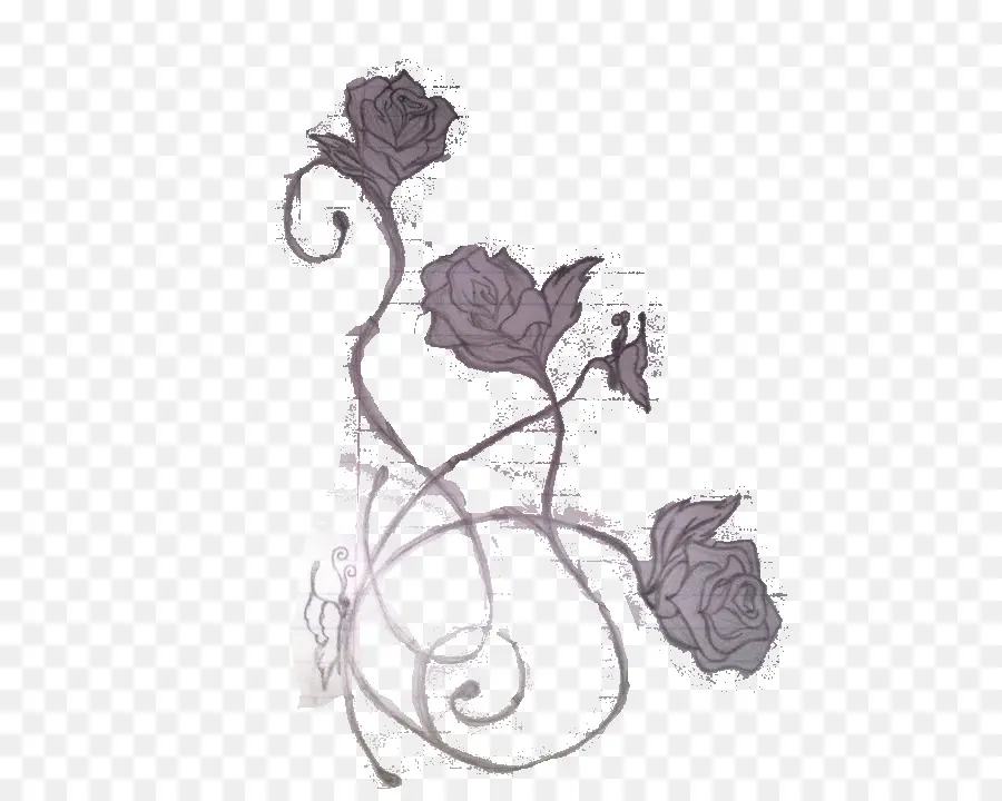 садовые розы，татуировка PNG