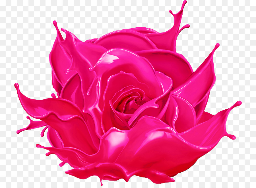 садовые розы，краска PNG
