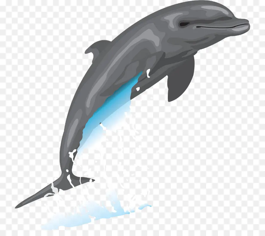 дельфин，рисунок PNG
