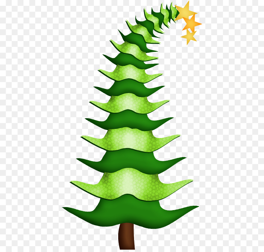 пихта，Рождественская елка PNG