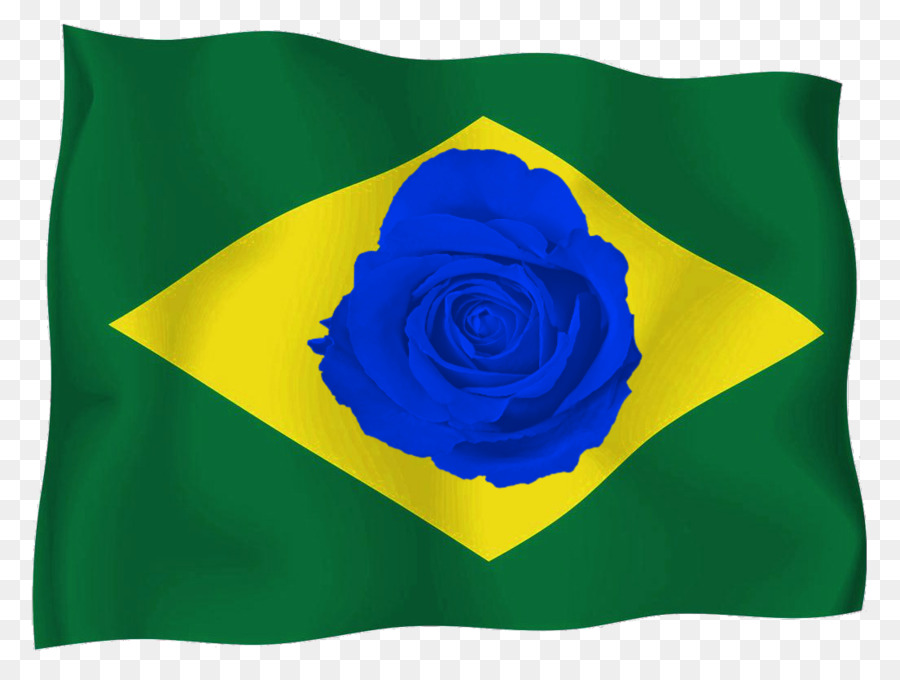 Brazil，Flag Of Brazil PNG