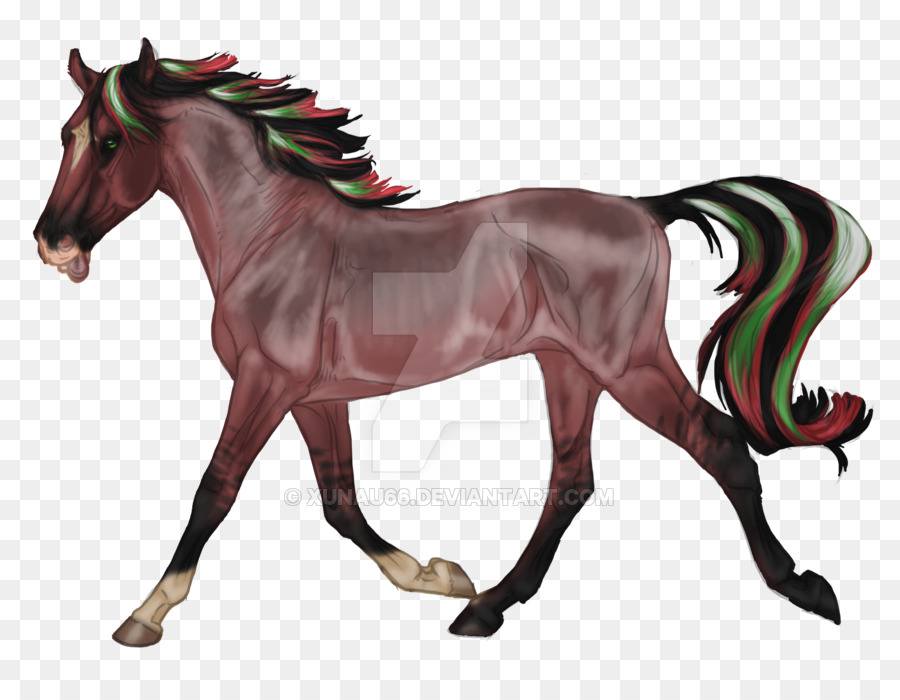 Mustang，Foal PNG