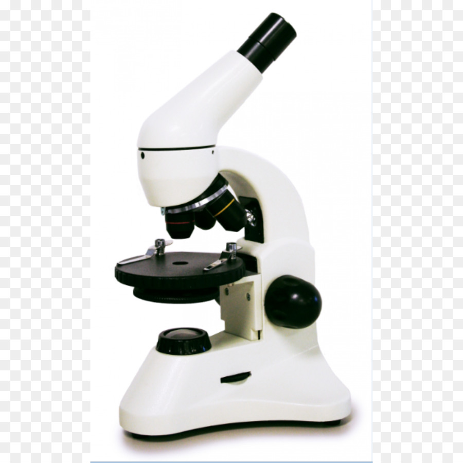 Microscope portable