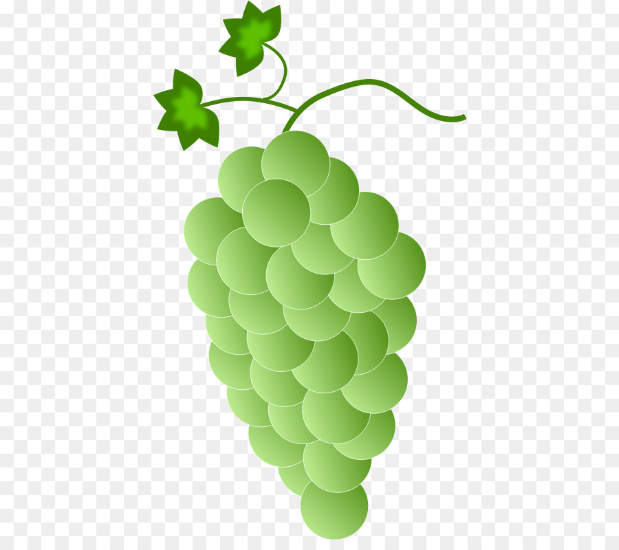 общие винограда，виноградного PNG