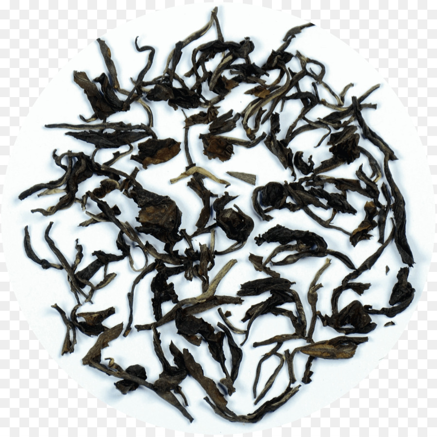 Nilgiri Tea，юньнань юньнань PNG