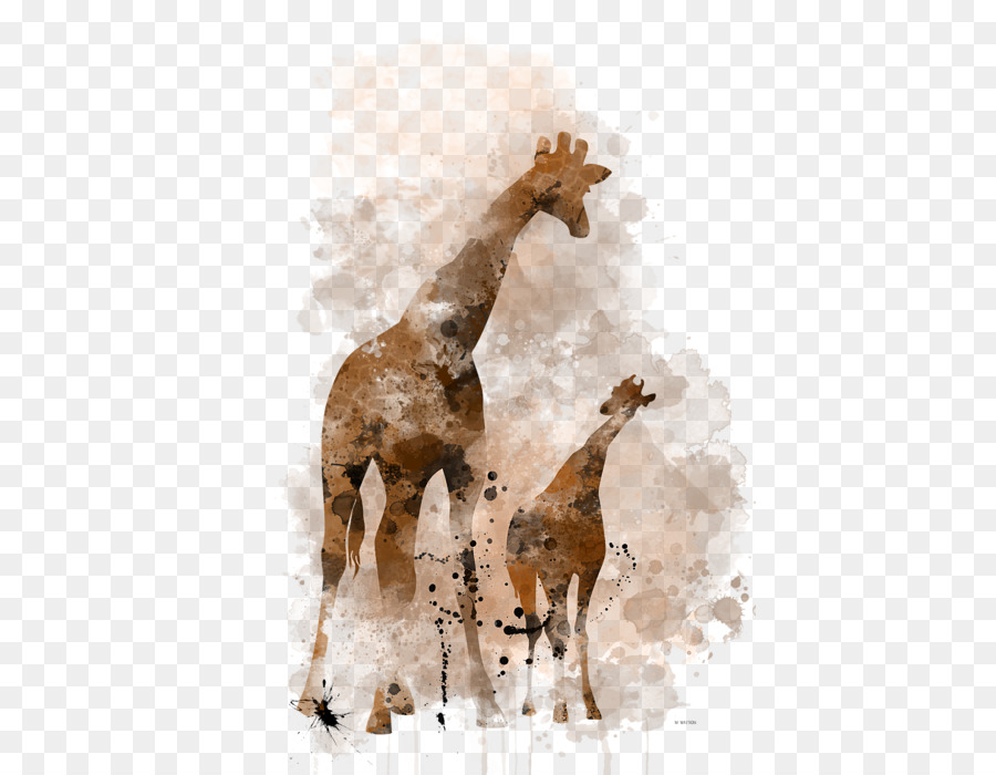 жираф，лошадь PNG