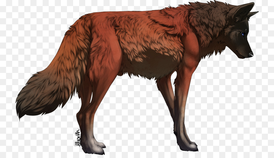 собака，красный волк PNG