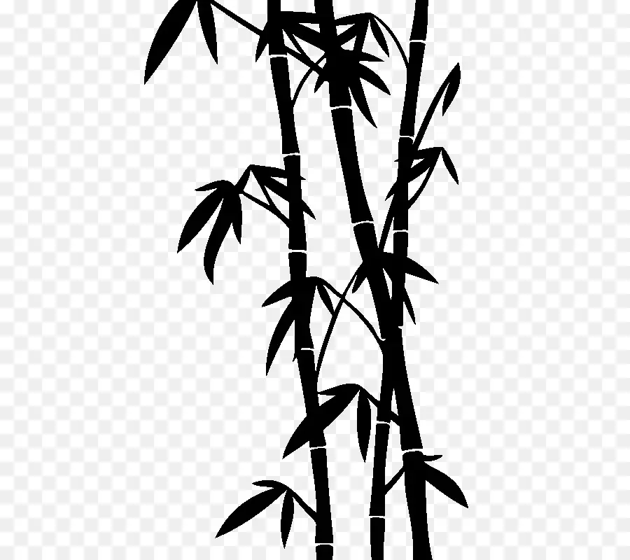 тропический древесный бамбук，рисунок PNG