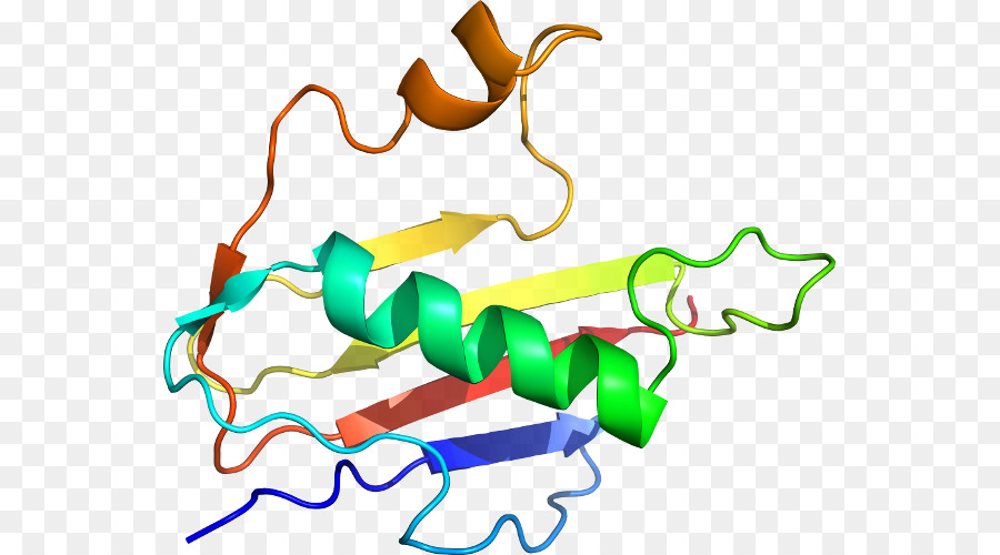 Белковая спираль，Молекула PNG