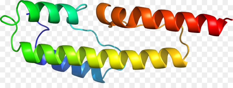 Белковая спираль，Молекула PNG